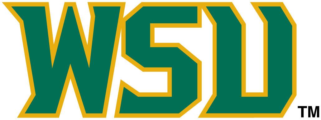 Wright State Raiders 2001-Pres Wordmark Logo v3 diy iron on heat transfer